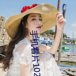 手机看片1024在线观看