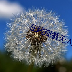 在线观看无人区 （卸磨杀驴