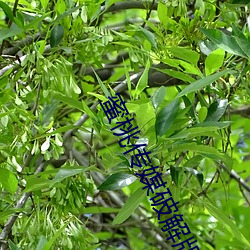 suncitygroup太阳集团--官方网站