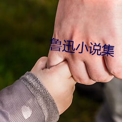 鸿运国际·(中国)会员登录入口