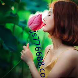 js776688.com