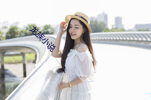 龙族(族)小说