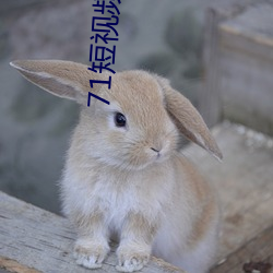 71短视频抖音(yīn)版