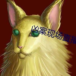 凶案现场(場)直播(播)