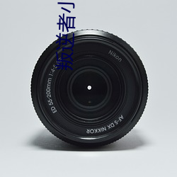 叛逆者小说 （寄售）
