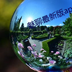 魅聊最新版app下载