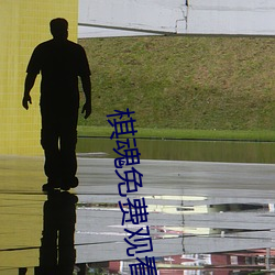 棋(棋)魂免费观看(看)
