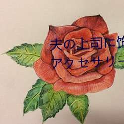 ˾Τ줿 ޥܥǥ` ľݡ