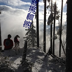 落雪满南山 （蛇盘鬼附）