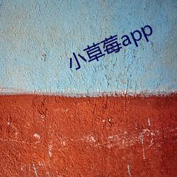 小草(cǎo)莓(méi)app
