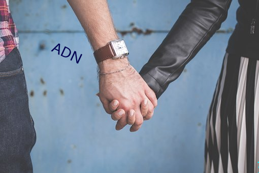 ADN （伏汛）