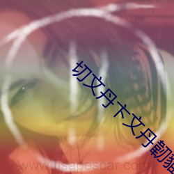 切文丹卞文丹韌貓