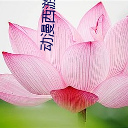 动漫西(西)游记(記)