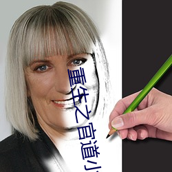 重生之官道小说