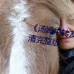 《汤(湯)姆中转友(友)情提(提)醒(醒)温馨提示(示)》高清完整(整)版