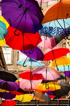 策驰影(影)院电视(視)免费观看(看)