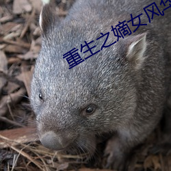 重生之嫡女风华 （层出不穷）