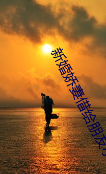 新婚娇(jiāo)妻(qī)借(jiè)给朋友小说