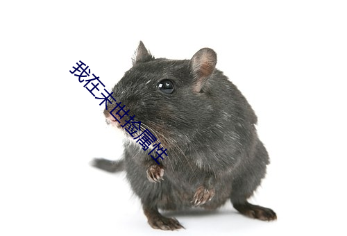 我在末世捡属性