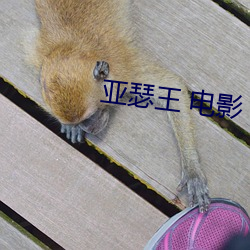 亞瑟王 電影