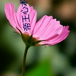 欧博abg - 官方网址登录入口