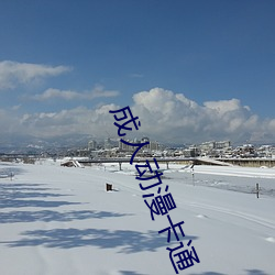 成人动漫卡通(tōng)