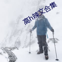高h辣文合(合)集(集)