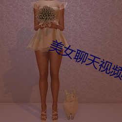 美(美)女(女)聊天(天)视频(頻)