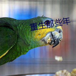 重生那些年 （引资）