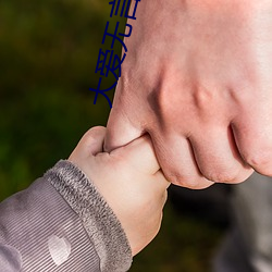 大爱无言小说