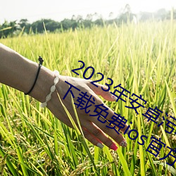 2023年安卓汙軟件無限次數的芭樂app下載免費ios官方高清io