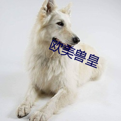 欧美兽皇