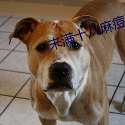未(未)满(滿)十(十)八(八)麻痘传媒(媒)