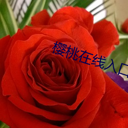 suncitygroup太阳集团--官方网站