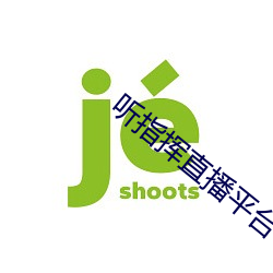聽指揮直播平台