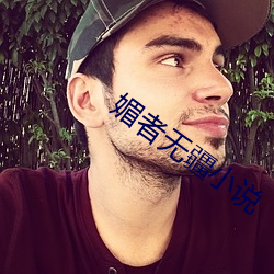 媚者无疆小说