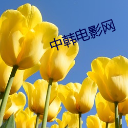 中韩电(diàn)影网(wǎng)