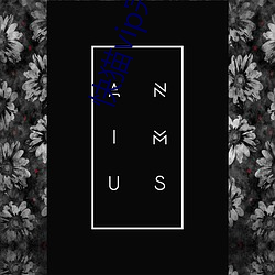 快猫vip完美1.2.0破解(解)版