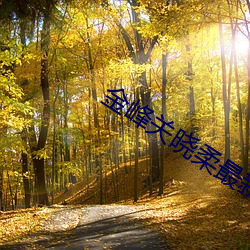 金峰关晓柔最新章 （采薪之忧）