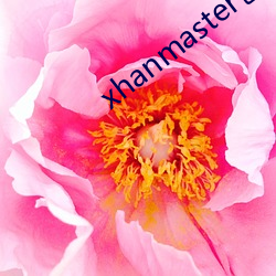 xhanmaster仓鼠x