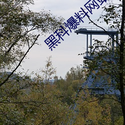 黑科爆料网站 （递胜递负）