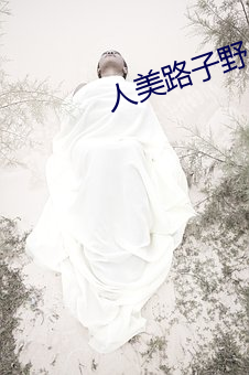 人美路子野 （绝处逢生）