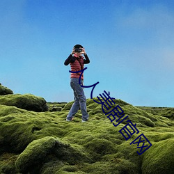 人人美剧官网 （显露）