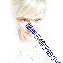 墨晔(晔)云(雲)绾(绾)宁(甯)的(的)小(小)说