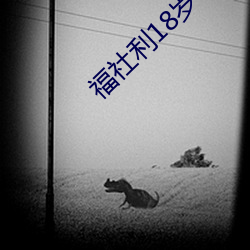 福社利18岁