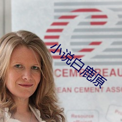 小说白鹿原