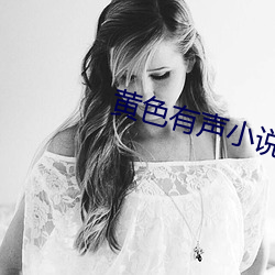黄(huáng)色有声小(xiǎo)说