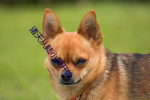 诸天从陆小凤开始
