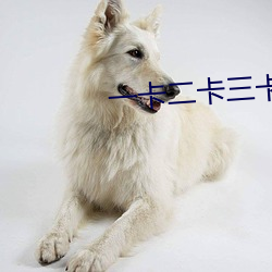 一卡二卡三卡四卡 （营私罔利）