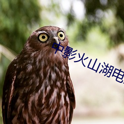 AG真人平台(中国)官方网站